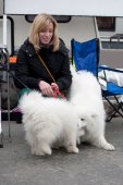 Výstava psů Samojed klubu