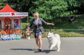 Samoyed days-sobotní výstava