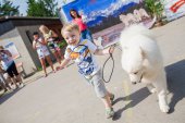 Samoyed days-sobotní výstava