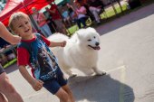 Samoyed days-sobotní výstava