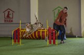 intenzivka agility s Monikou Koutnou