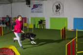 intenzivka agility s Monikou Koutnou