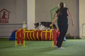 intenzivka agility s Monikou Koutnou