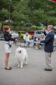 Samoyed days-páteční výstava