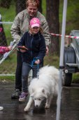 Samoyedská miniolympiáda