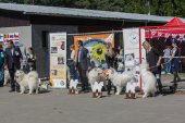 Samojedí dny 