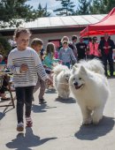 Samojedí dny 