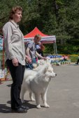 Samojedí dny 