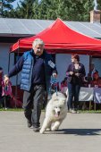 Samojedí dny 