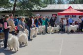 Samojedí dny 