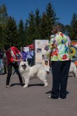 Samojedí dny 